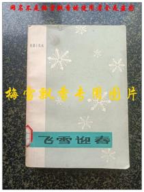 飞雪迎春