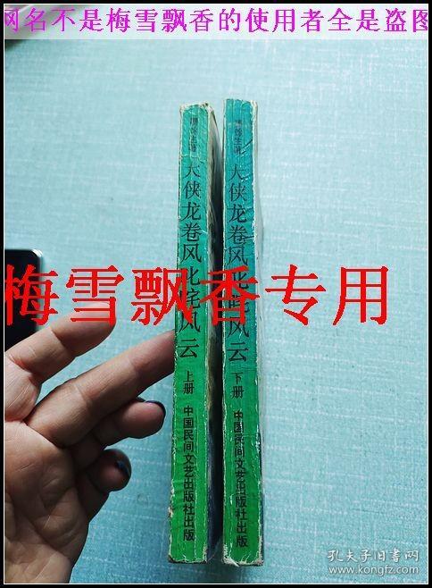 大侠龙卷风叱咤风云上下两册全