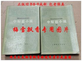 陀思妥耶夫斯基中短篇小说1+2两册全套 内含全本荣如德译本《涅朵奇卡.涅茨瓦诺娃》