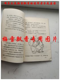 小豆豆的神机妙算 彩色封面精美插图 李继学1988年老版儿童经典 原版正版老版