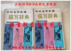 中外文學(xué)名著描寫辭典 上下