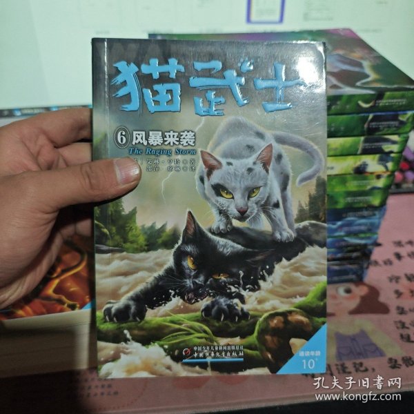 猫武士六部曲——6风暴来袭