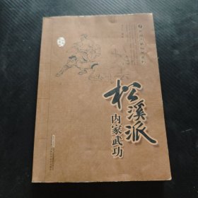 武当内家秘笈系列：松溪派内家武功（经典珍藏版） 9787533753740