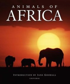 Animals of Africa 非洲動物