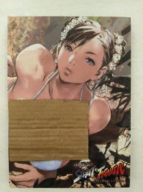 The Art of Street Fighter