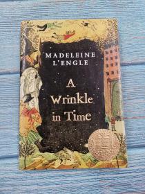 A Wrinkle in Time