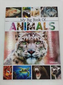 my big book of animals  我的动物大书