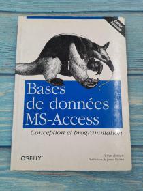 bases de donnees ms-access conception et programmation