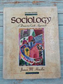sociology a down to earth approach second edition
