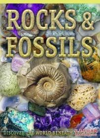 Rocks and Fossils