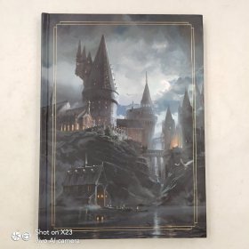 The Art and Making of Hogwarts Legacy: Exploring the Unwritten Wizarding World