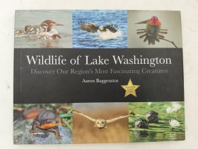 Wildlife of Lake Washington (Discover Our Region\'s Most Fascinating Creatures) Hardcover美国野生动物