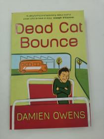 Dead Cat Bounce