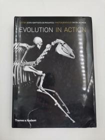 Evolution in Action: Natural History through Spectacular Skeletons