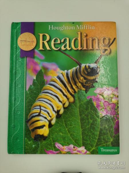 houghton mifflin reading treasures