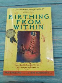 Birthing from within: An Extra-Ordinary Guide to Childbirth Preparation