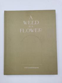 a weed is a flower