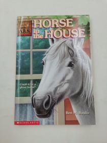 Horse in the House