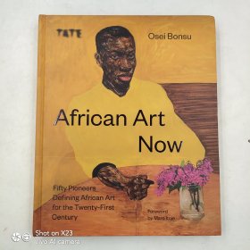 African Art Now: Fifty pioneers defining African art for the twenty-first century 非洲藝術(shù) 當(dāng)代藝術(shù)畫冊