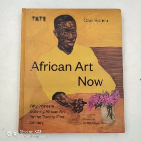 African Art Now: Fifty pioneers defining African art for the twenty-first century 非洲艺术 当代艺术画册