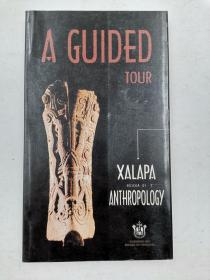 a guided tour xalapa museum of anthropology