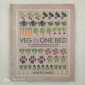 Veg in One Bed: How To Grow an Abundance of food in One Raised Bed