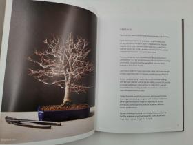 The Little Book of Bonsai: An Easy Guide to Caring for Your Bonsai Tree