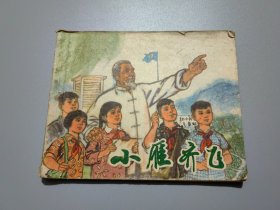 连环画：小雁齐飞