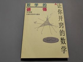 数学的领悟：让你开窍的数学