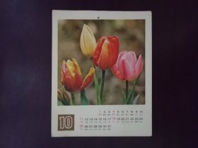 花月历片10