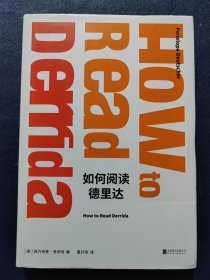 如何阅读德里达(精装本)