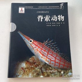 脊索动物/中国野生动物生态保护 国家动物博物馆精品研究