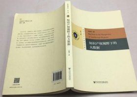 知识产权视野下的大数据