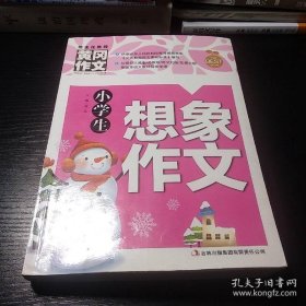 黄冈作文-小学生想象作文