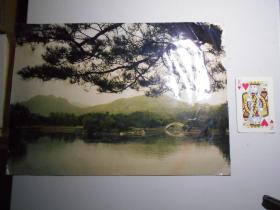 老照片：《朝鲜 金刚公园》（王屏 摄）