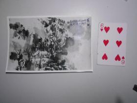 陕西国画家赵振川 作品《晨曲》照片（《中国书画报》刊载，背面有作者属名）