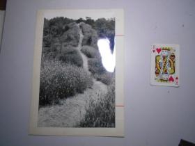 老照片：《希望》（天津 魏振江摄）