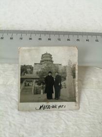 1959年北京万寿山留影