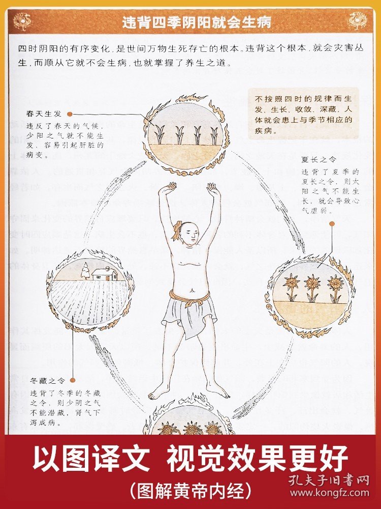 2本图解黄帝内经白话全译彩图版+图解黄帝八十一难经经络脏腑腧穴针法岐黄之术中医基础理论诊断学针灸学扁鹊华佗李时珍张仲景