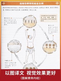 2本图解黄帝内经白话全译彩图版+图解黄帝八十一难经经络脏腑腧穴针法岐黄之术中医基础理论诊断学针灸学扁鹊华佗李时珍张仲景