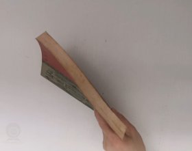智圣东方朔--白金卷 上
