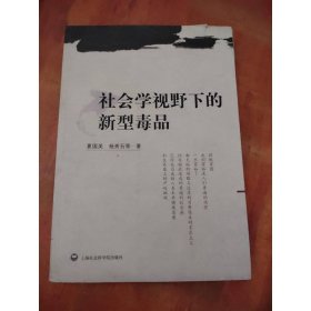 社会学视野下的新型毒品