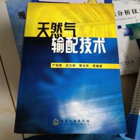 天然气输配技术