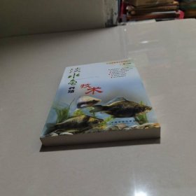 淡水鱼养殖技术