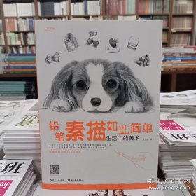 铅笔素描如此简单 生活中的美术