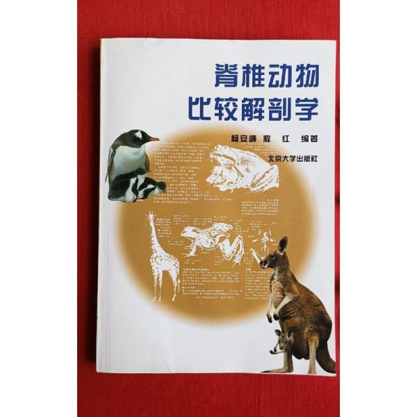 脊椎动物比较解剖学