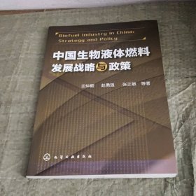 中国生物液体燃料发展战略与政策