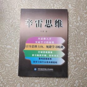辛雷思维