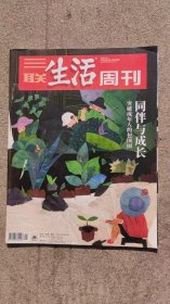 三联生活周刊 2020年第21期 总第1088期 同伴与成长 突破成年人的包围圈