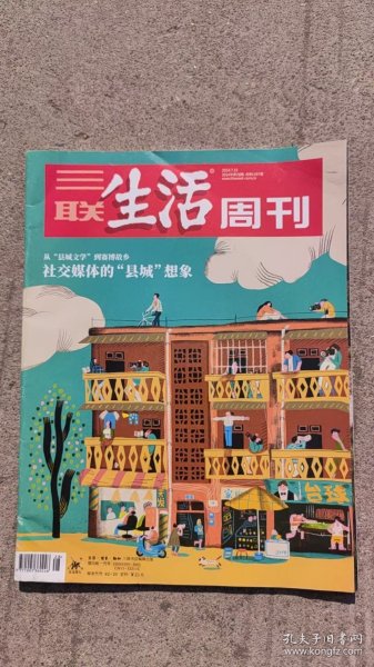 三联生活周刊 2024年第28期 社交媒体的县城想象